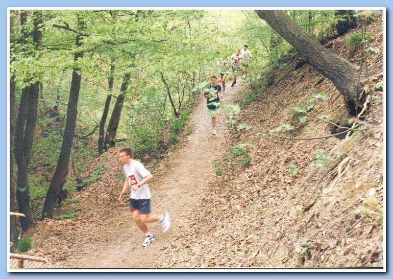 Obrázek pro rok 2000