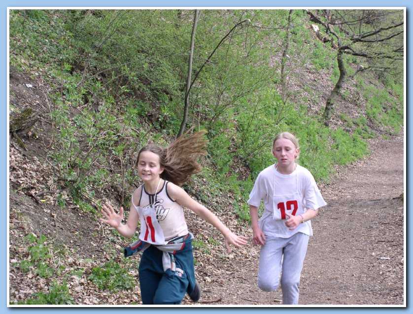 Obrázek pro rok 2003