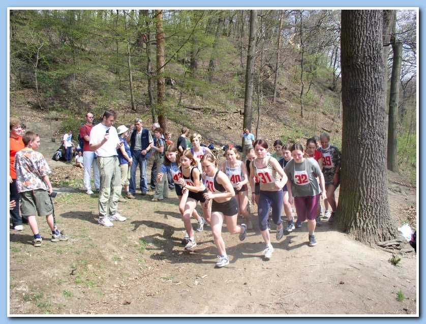 Obrázek pro rok 2004