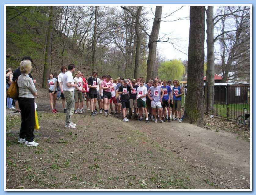 Obrázek pro rok 2004