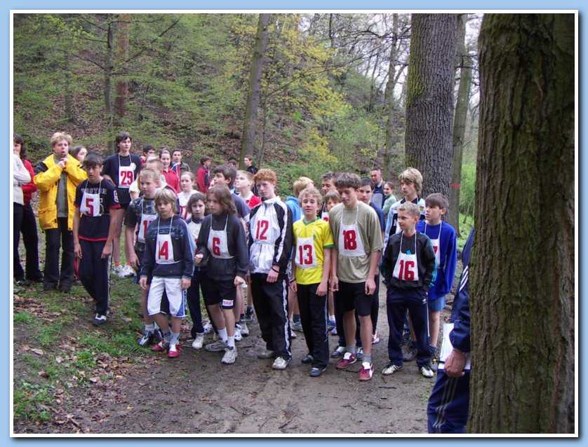 Obrázek pro rok 2006