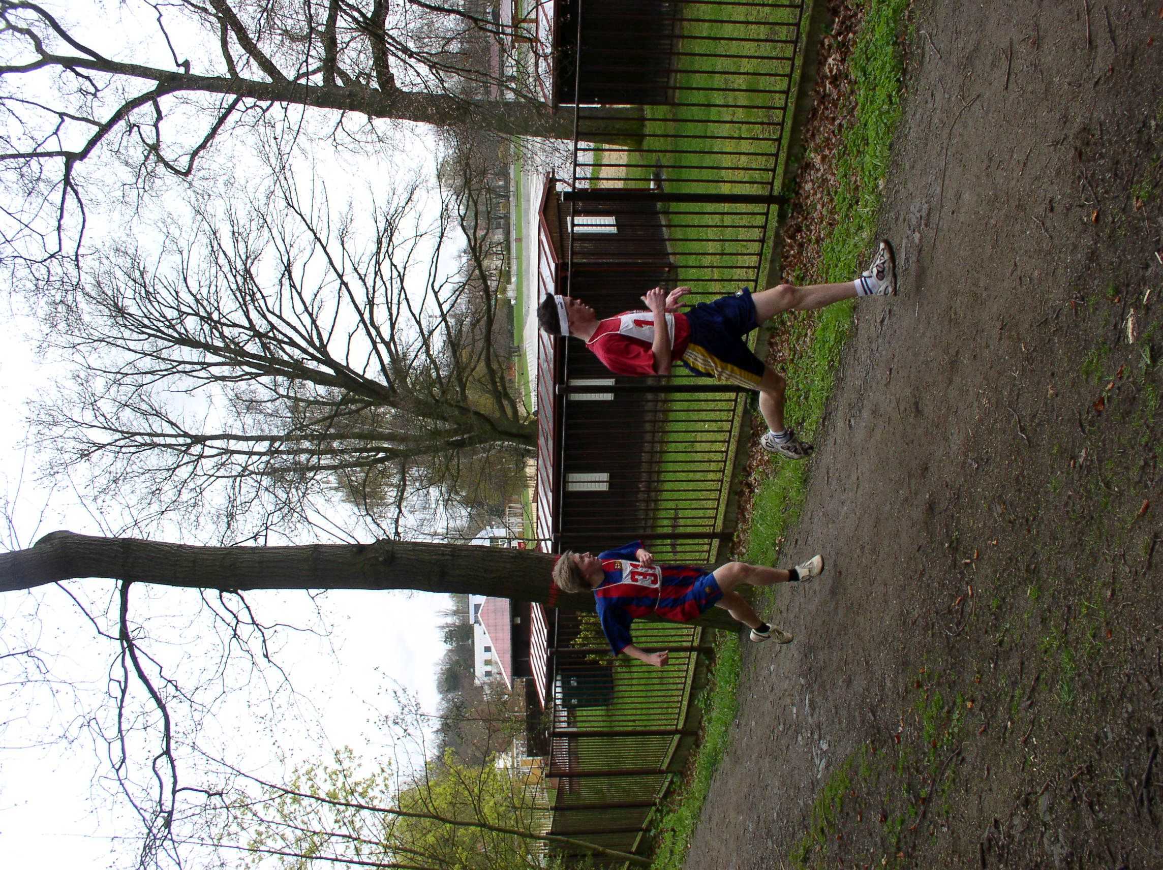 Obrázek pro rok 2008