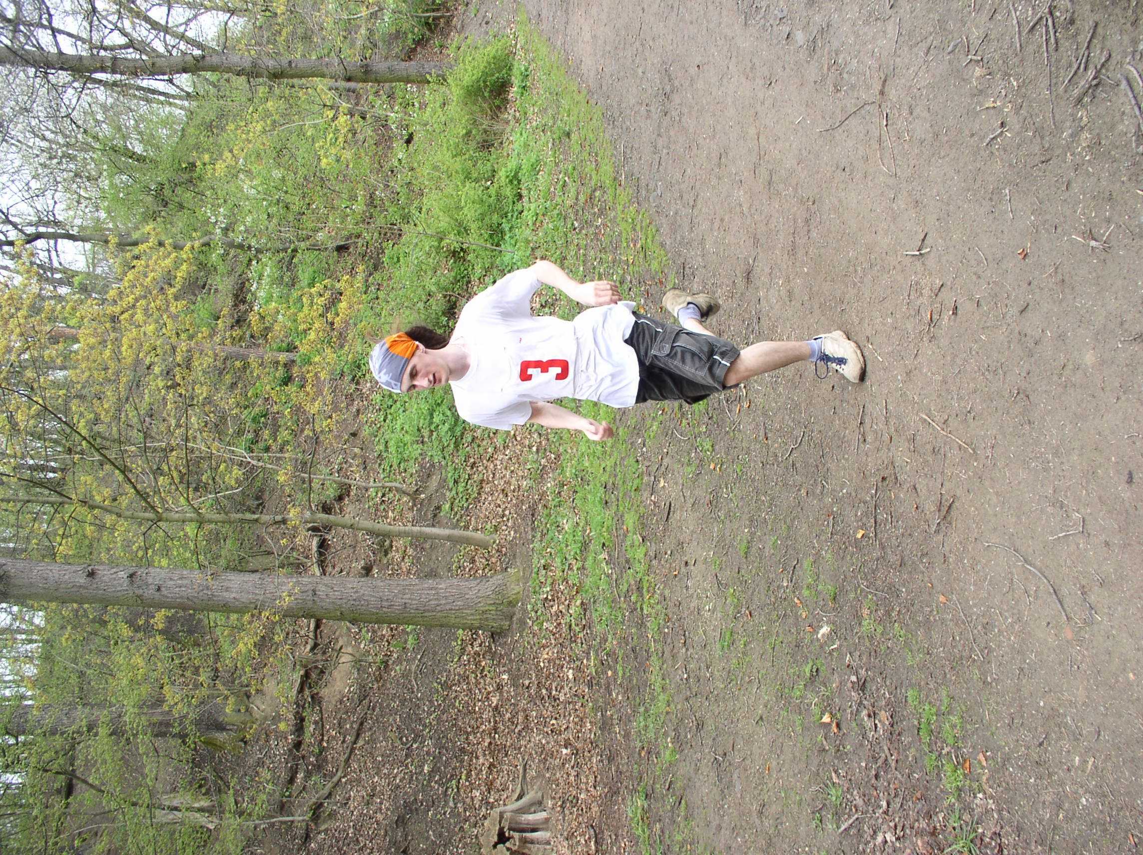 Obrázek pro rok 2008
