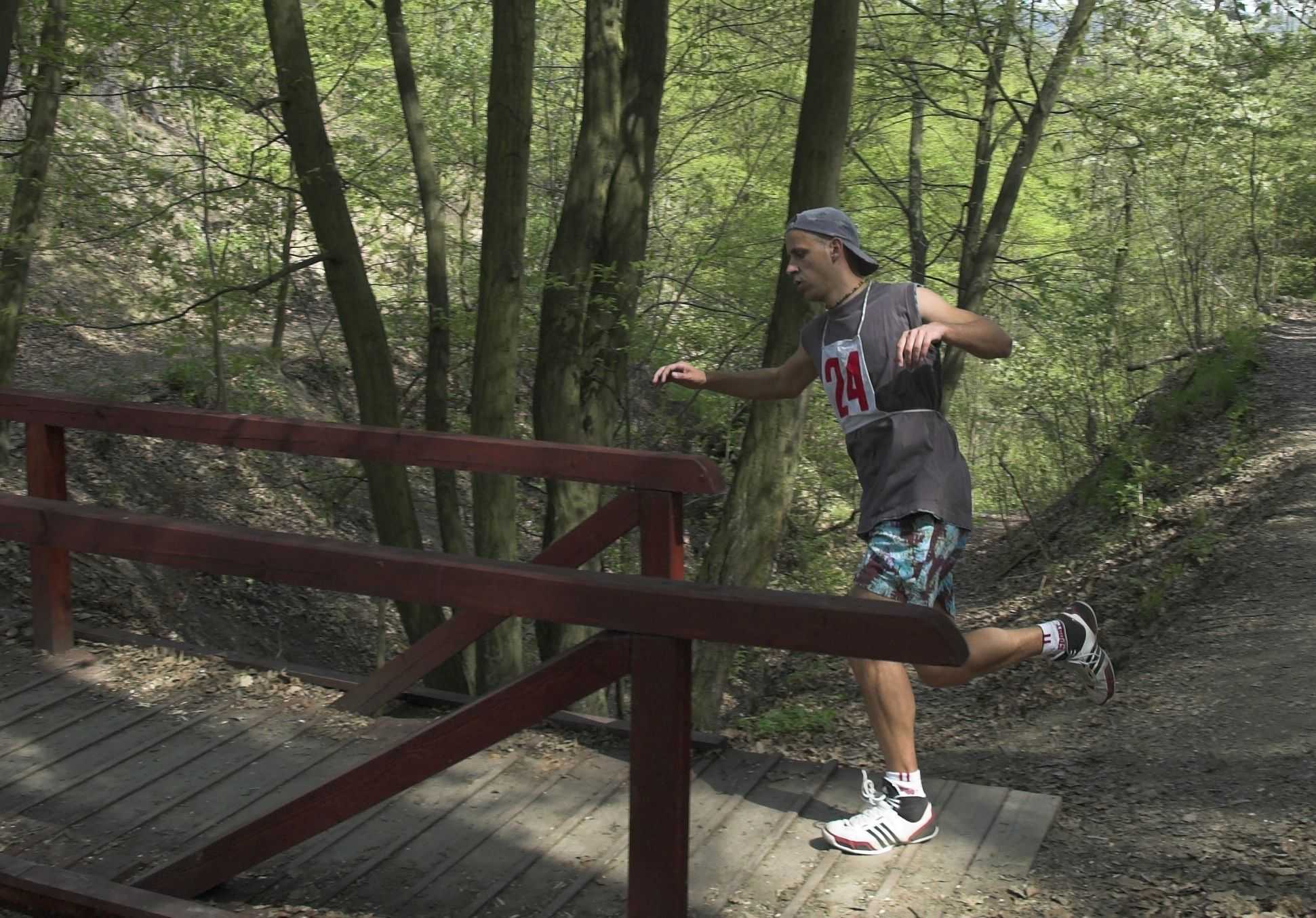 Obrázek pro rok 2010