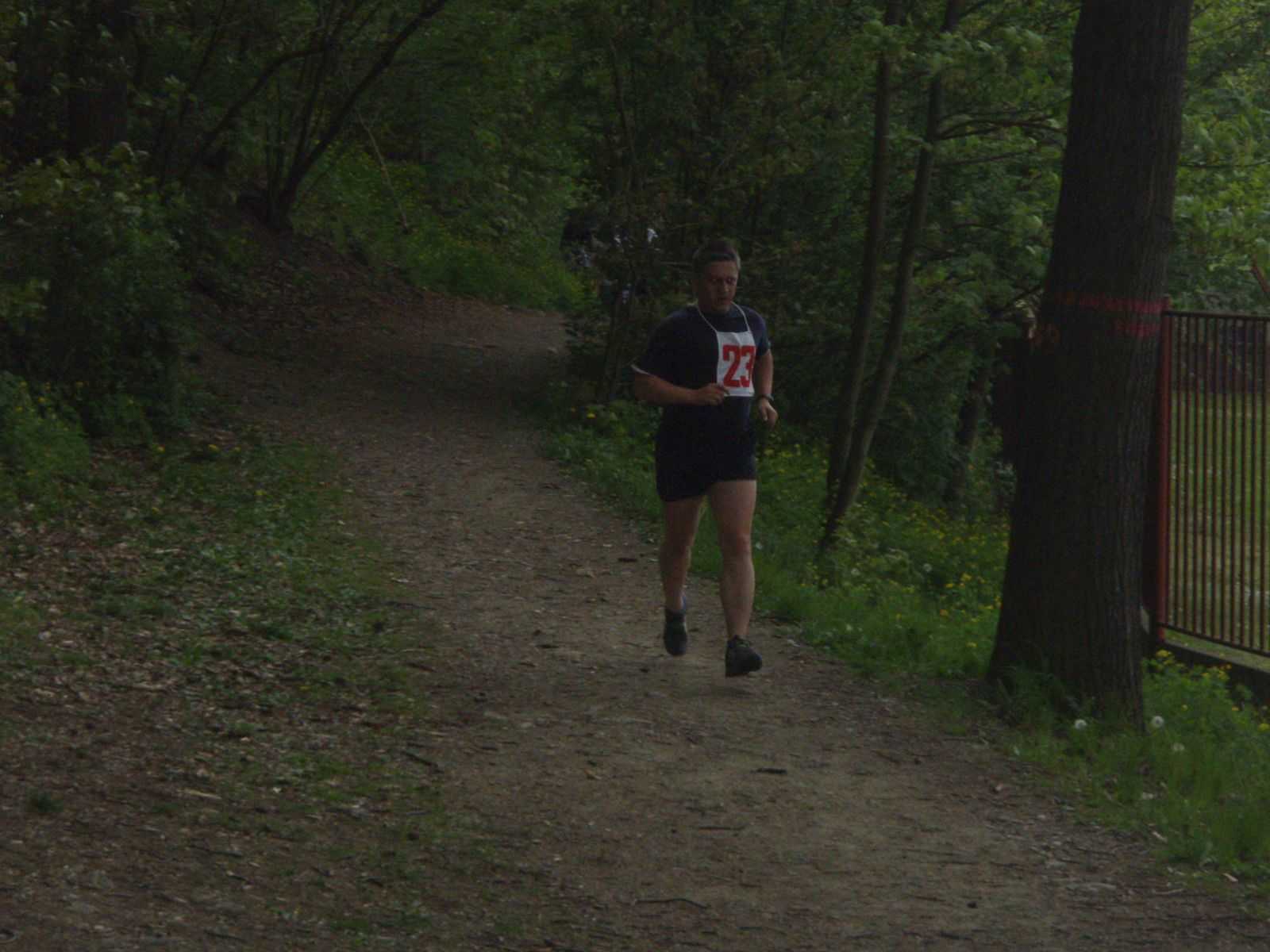 Obrázek pro rok 2011