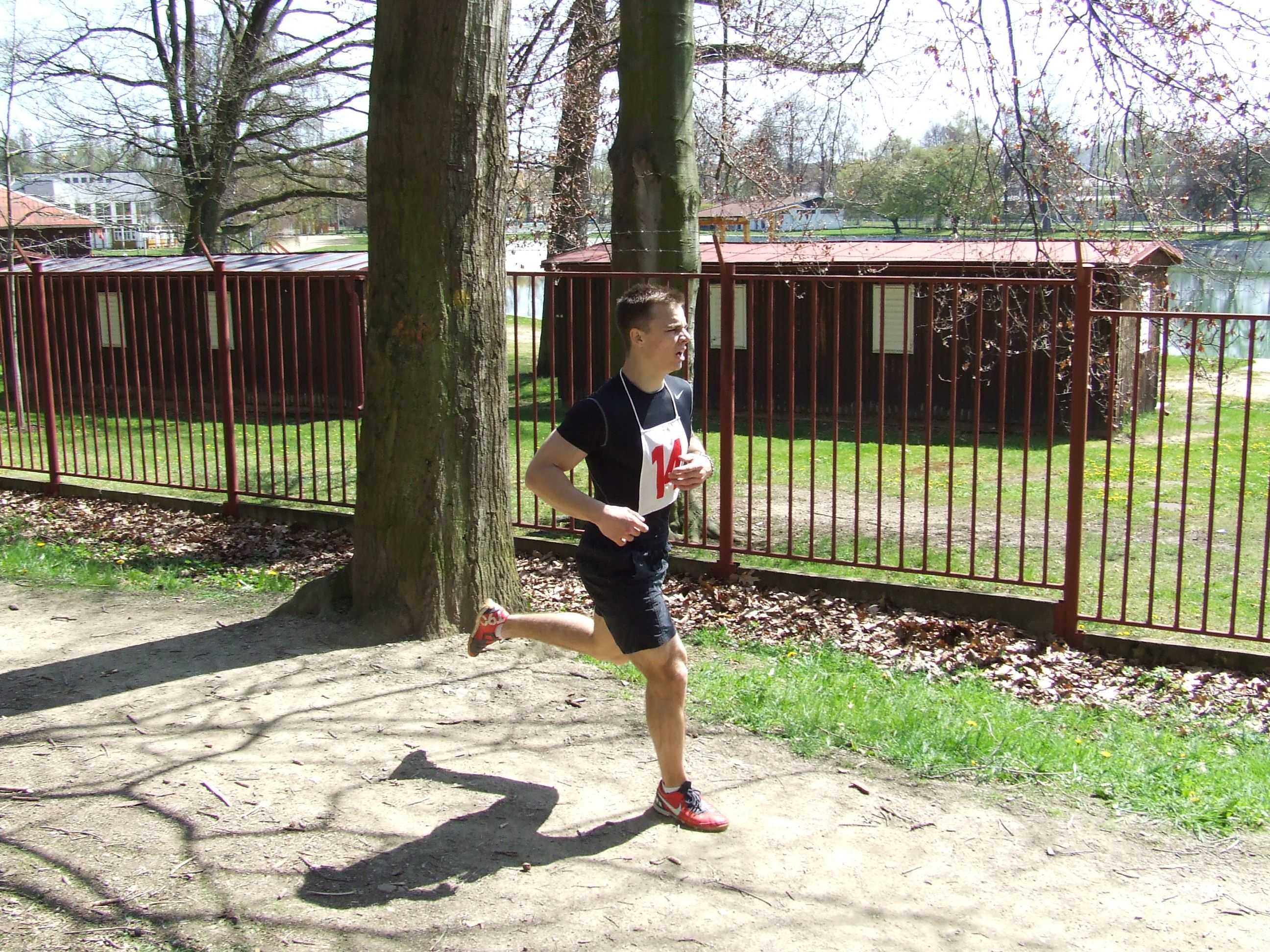 Obrázek pro rok 2012