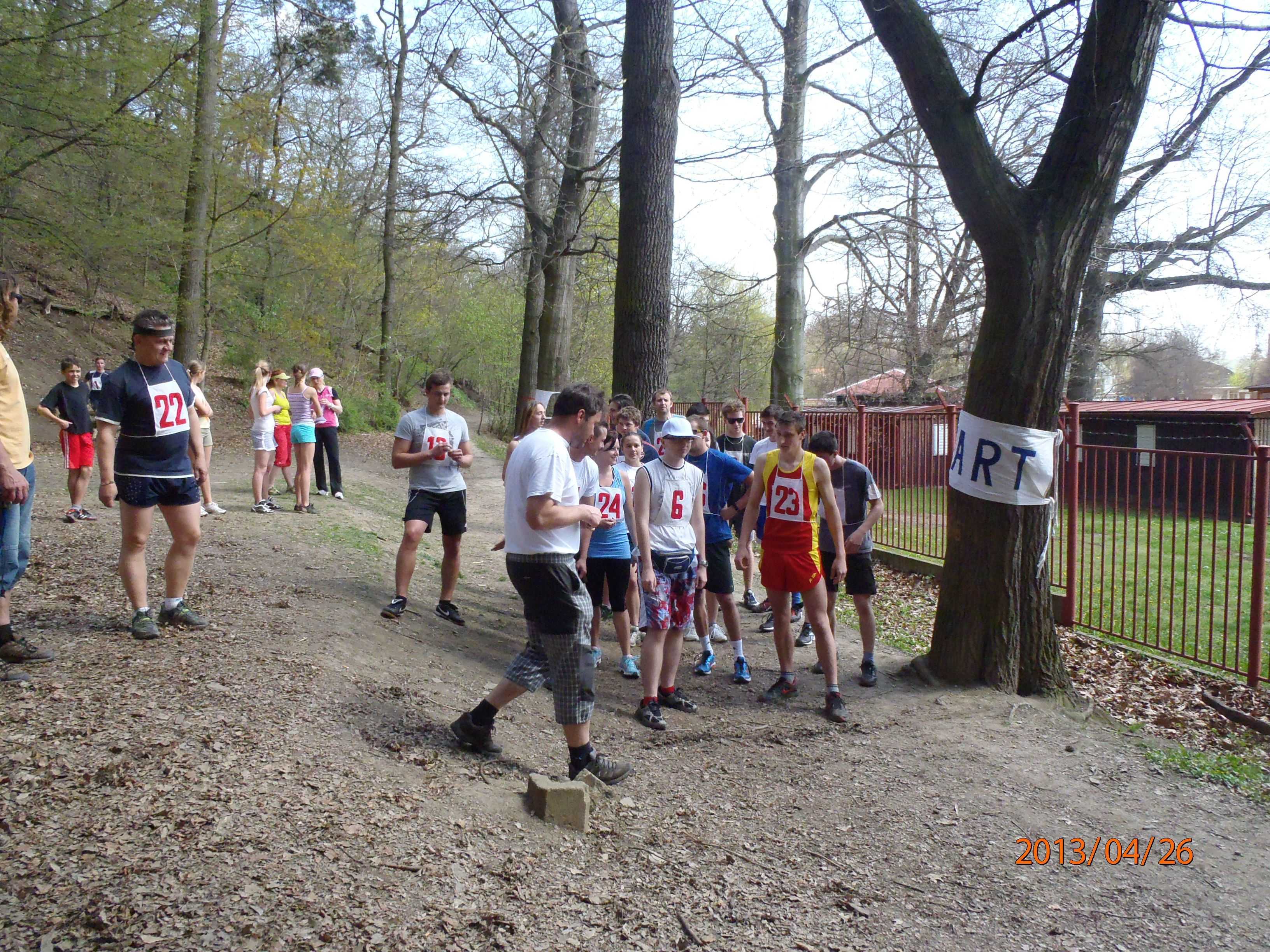 Obrázek pro rok 2013