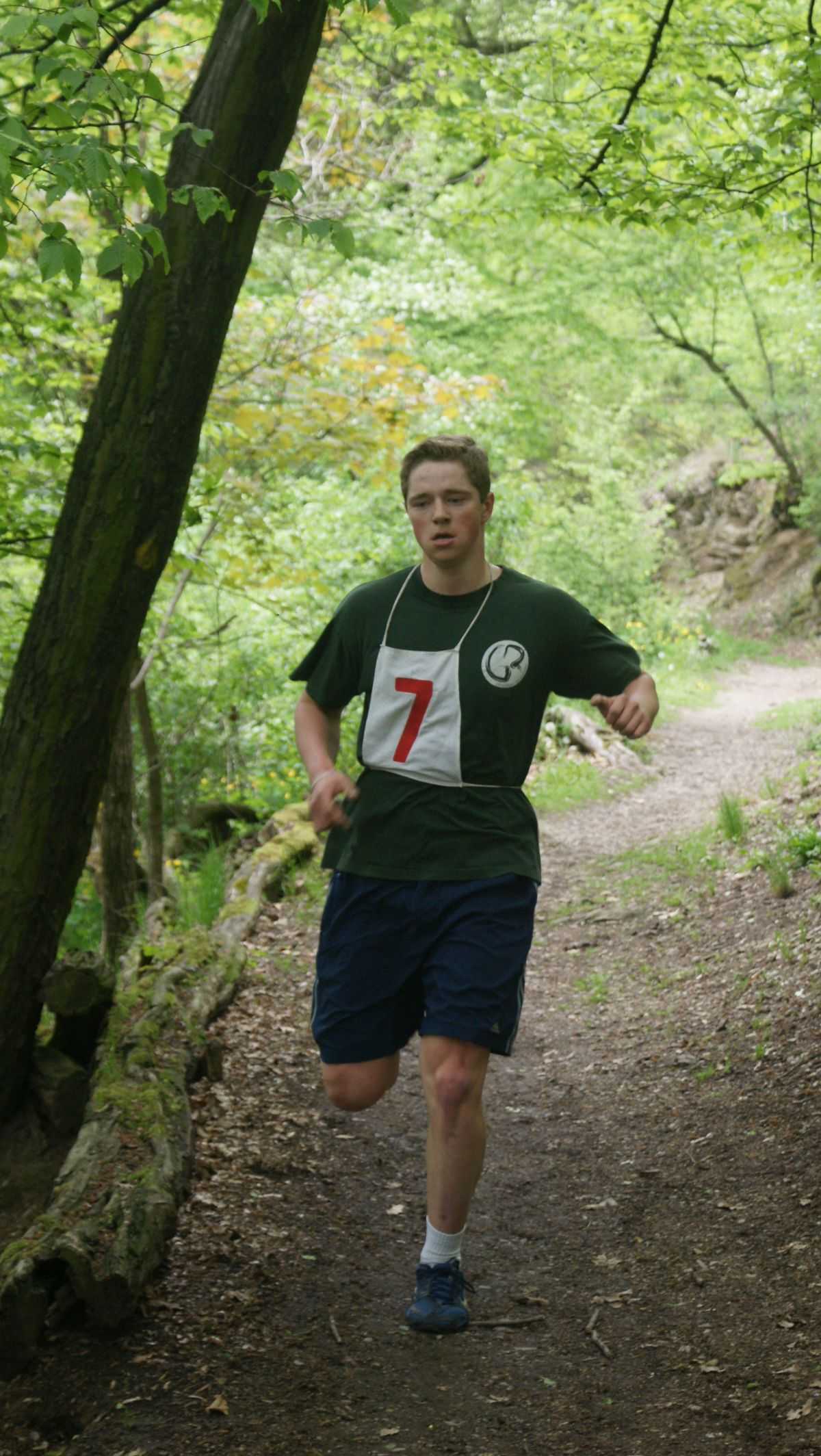 Obrázek pro rok 2014