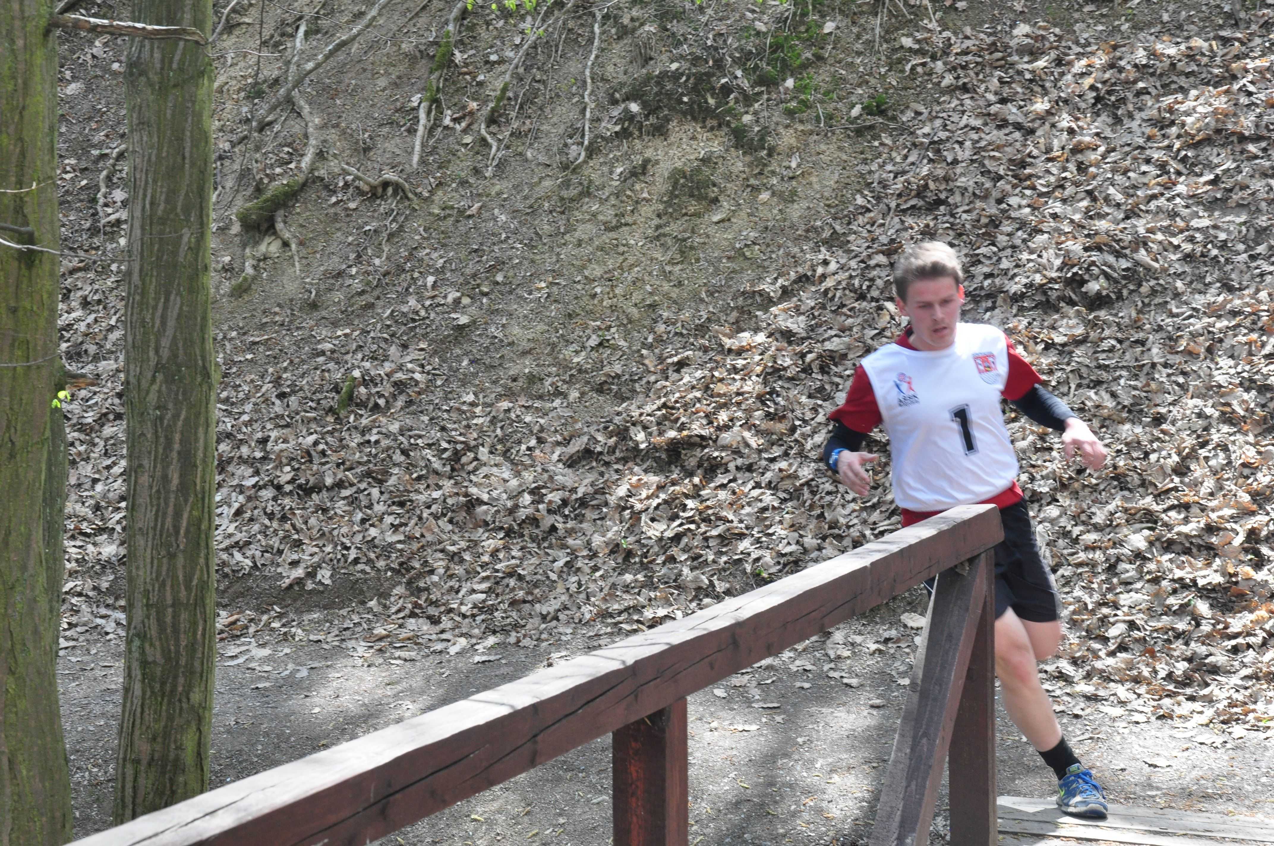 Obrázek pro rok 2016