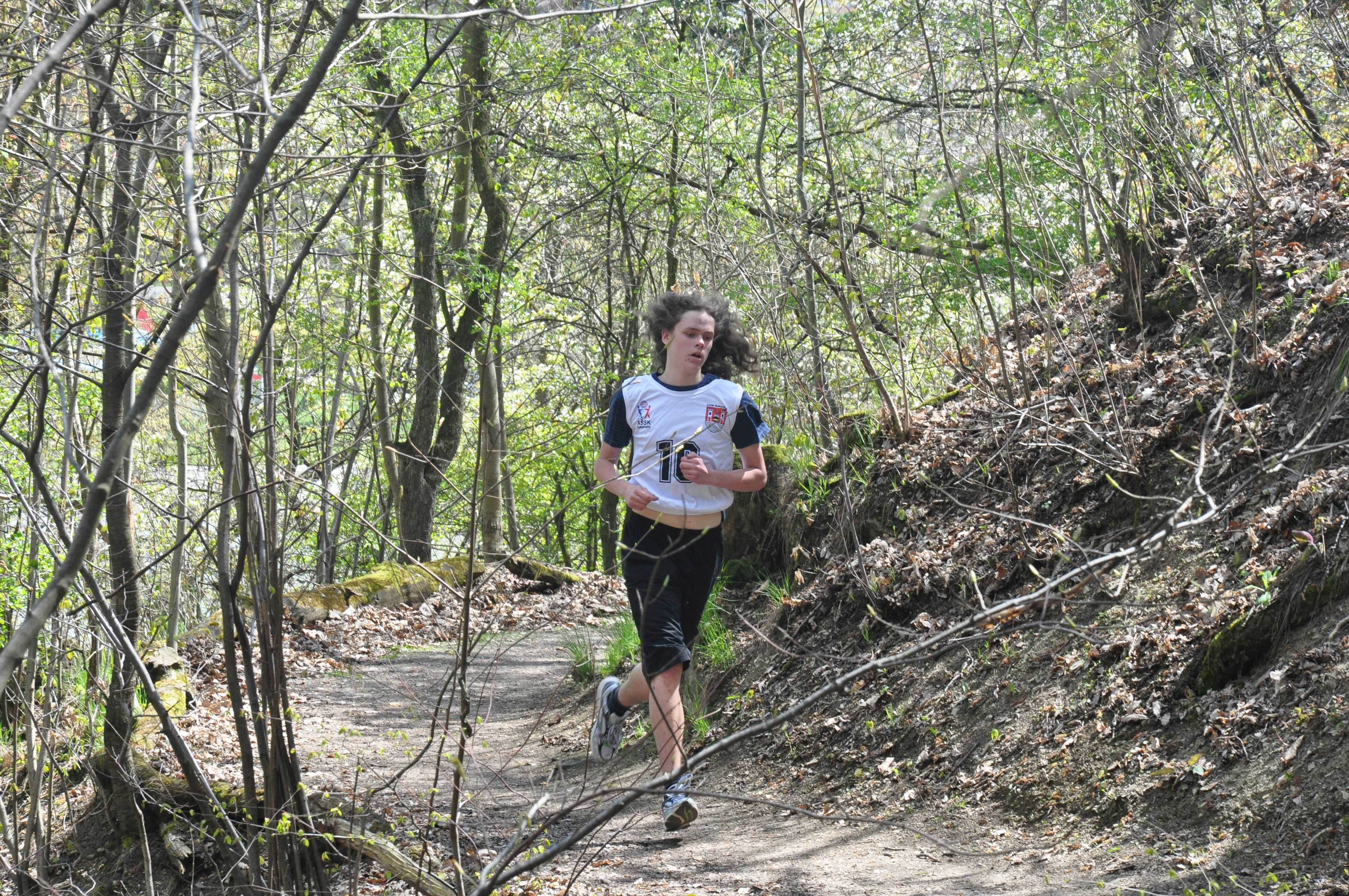 Obrázek pro rok 2016