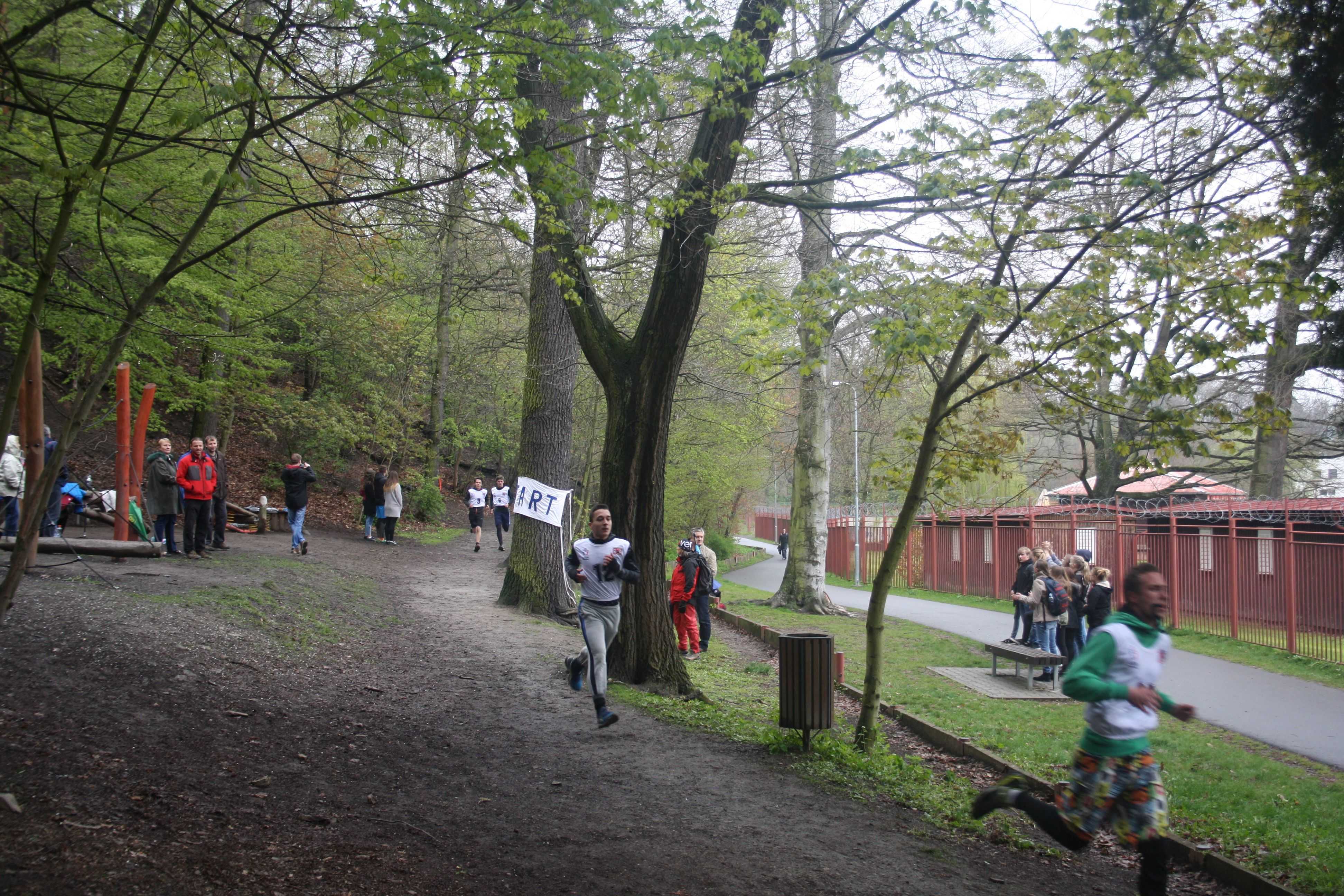 Obrázek pro rok 2017