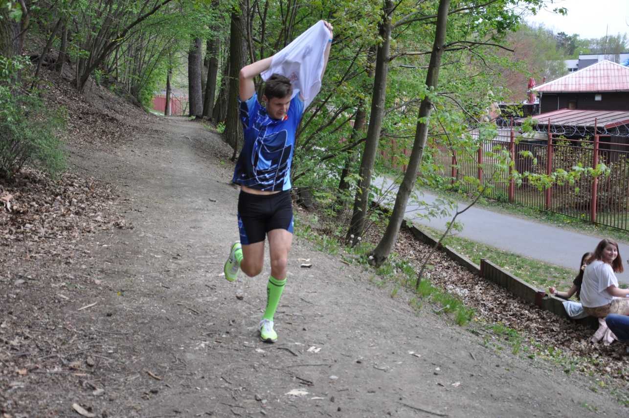 Obrázek pro rok 2019
