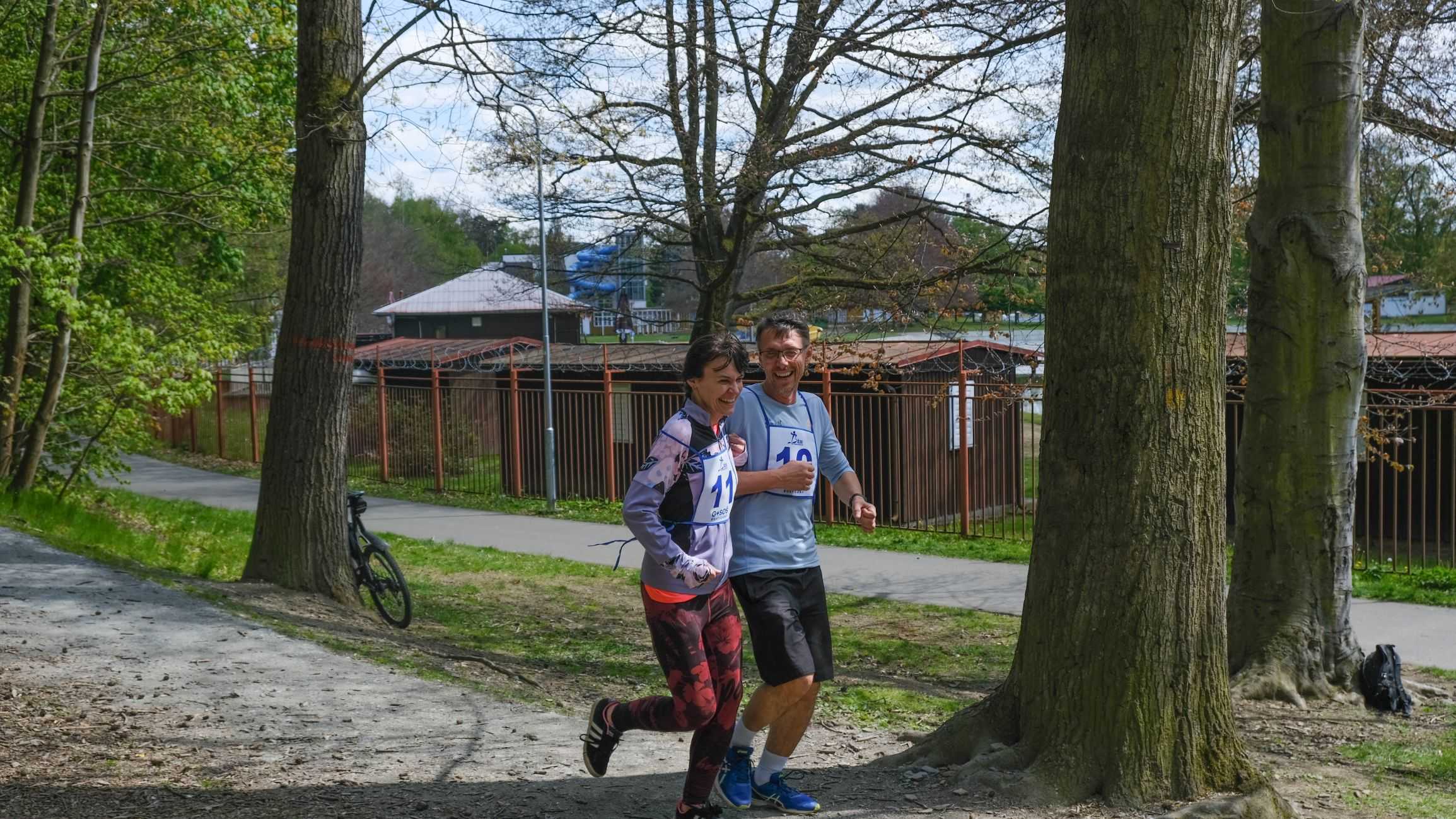 Obrázek pro rok 2024